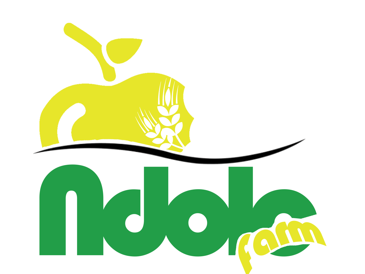 ndolo https://bdslsolutions.com/wp-content/uploads/2024/09/ndolo-1280x960.png